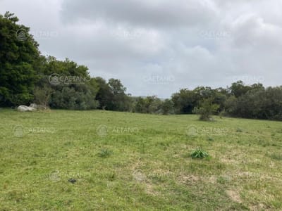 Venta chacra 7 hectáreas, Ruta 39