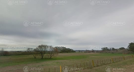 Venta chacra en Punta del Este
