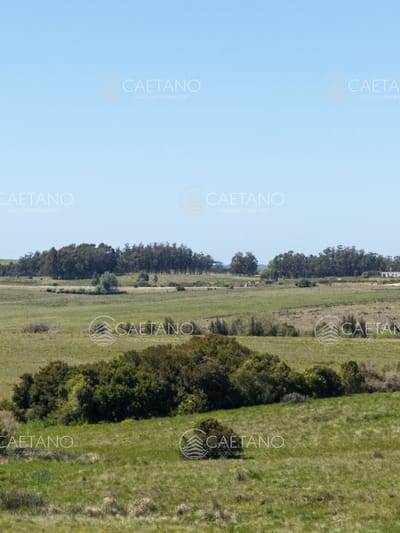 Chacras de 3 hectareas Ama Jose Ignacio , desde 85,000 dolares