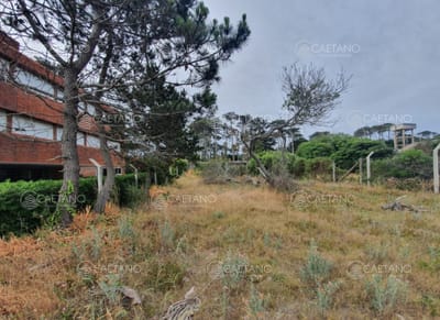 Terreno en venta en San Rafael