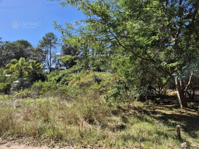 Lote ocean parck