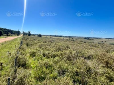 CHACRA EN VENTA LA PATAIA 10 HECTAREAS