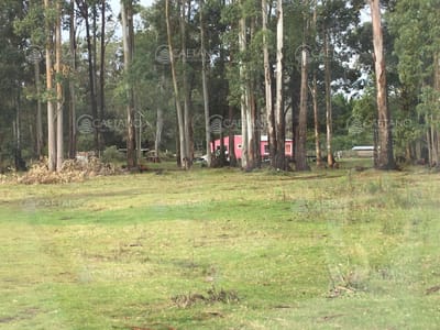 Chacra en La Pataia - Punta Ballena