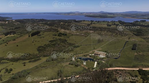 Venta cacha 3 hectáreas. Ruta 12, Punta ballena.