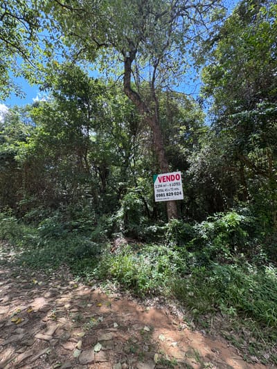 VENTA DE 6 LOTES EN SAN BERNARDINO – ZONA ALTA