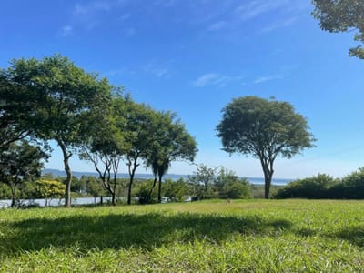 VENDO - 3 lotes juntos en condominio cerrado Punta Bella - Altos