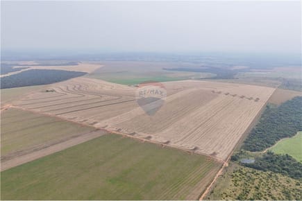CAMPO TOTALMENTE MECANIZADO DE 10.300.000 M2 EN SAN PEDRO EN VENTA