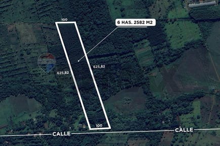 60.000 M2 DE TERRENO EN ITACURUBI DE LA CORDILLERA EN VENTA
