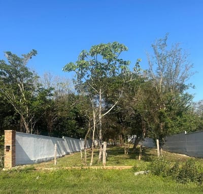EN VENTA – Terreno de 550 m² en barrio Cristóbal Colón, San Bernardino