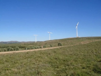 Campo de 247 Hectáreas en Venta - Palmar de Castillos, Rocha sobre Ruta 9