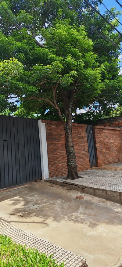 Vendo Casa en San Lorenzo