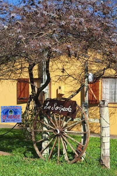 **RESERVADO** Vendo chacra 35 hectáreas a 12km de Castillos, Rocha