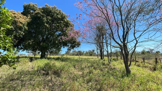 Vendo 7,7 hectáreas en San José de los Arroyos con arroyo y cascadita
