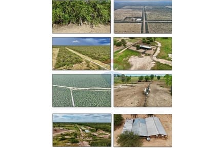VENDO Estancia en Fuerte Olimpo: Inversión en Auge