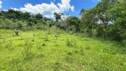 Vendo 20 hectáreas en San José de los Arroyos