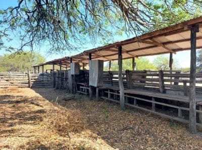 EN VENTA ESTANCIA EN EL CHACO PARAGUAYO - VILLA HAYES