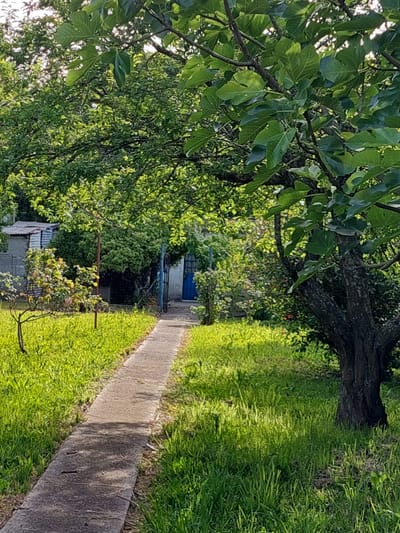 Vende casa con terreno.