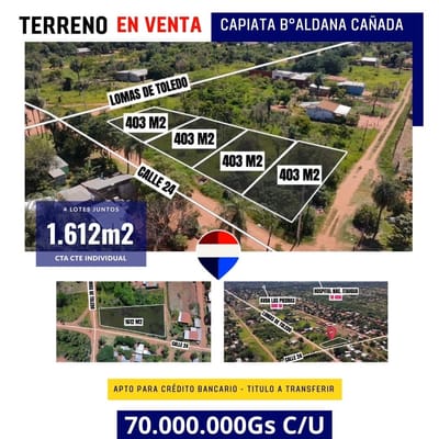 Vendo terreno en capiata