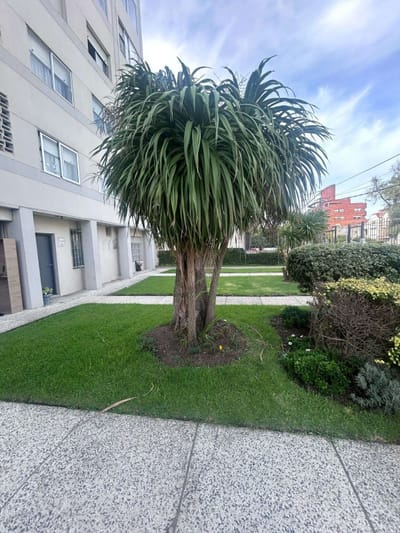 Venta apartamento de 3 dormitorios, 2 baños Malvin