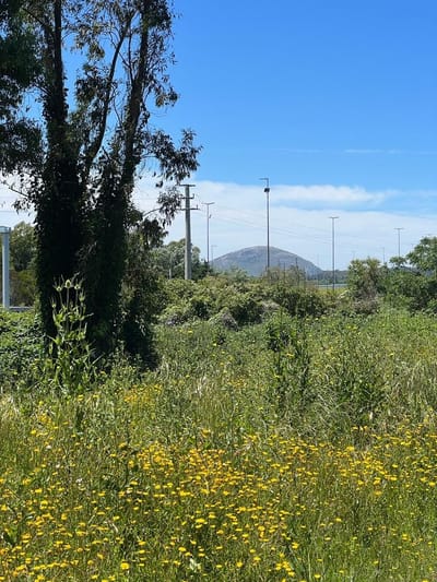 VENTA | Terreno en Solis