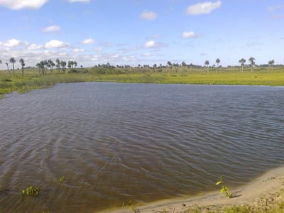 VENTA | Campo de 193 ha en Castillos