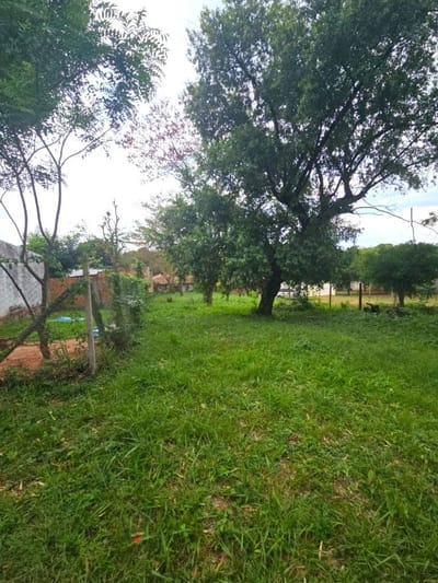 Alquilo amplio terreno 522 m² en Luque Marambure - zona comercial