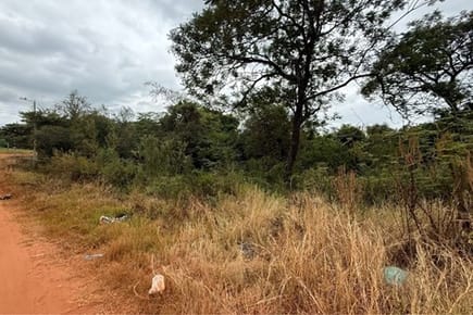 TERRENO EN CORONEL OVIEDO
