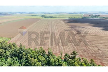 "Estancia única en Santa Rita - Inversión Agraria"