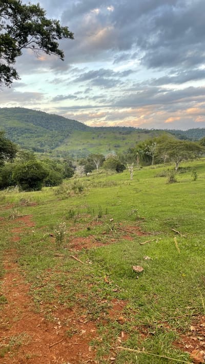 Finca en venta 43 hectáreas con manantial y arroyo en Colonia Independencia – Joveré – Paraguay