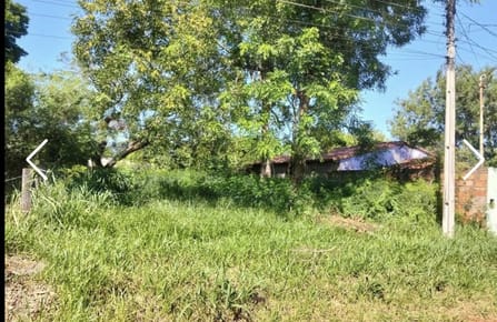 Vendo hermosa Propiedad para desarrollo 