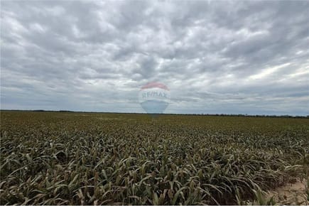 ESTANCIA AGRÍCOLA-GANADERA CON 79.740.000 M2 DE TERRENO EN EL CHACO EN VENTA