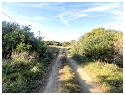 Terreno en Punta Rubia