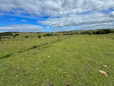 VENTA .CAMPO CERRO LARGO