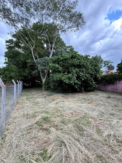Terreno en Lambare zona Super El Pueblo