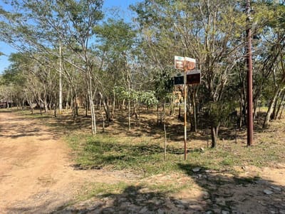 Vendo terreno en esquina en Surubi'i.
