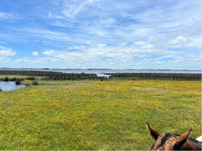 Chacra sobre Laguna José Ignacio
