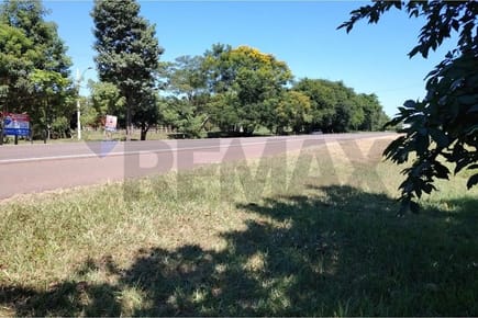 TERRENO DE 240.000 M2 SOBRE ASFALTO EN NUEVA GERMANIA - SAN PEDRO EN VENTA