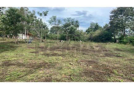 EN VENTA 5HA - TERRENO EN CAAGUAZÚ