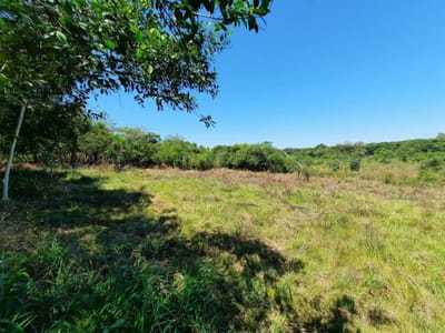 Vendo 2.4 hectáreas en Altos Ruta Altos - Atyra