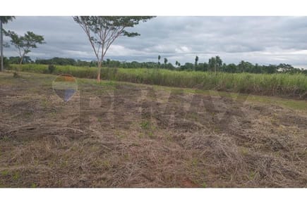 Venta