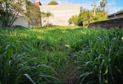 Terreno en Villa Elisa Barrio Picada 