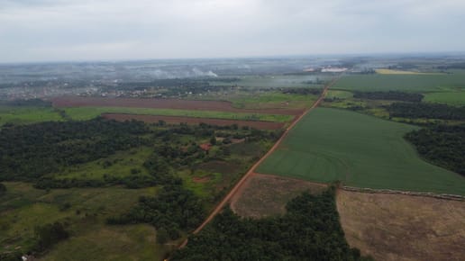 Vendo 40 Hectareas Minga Guazu