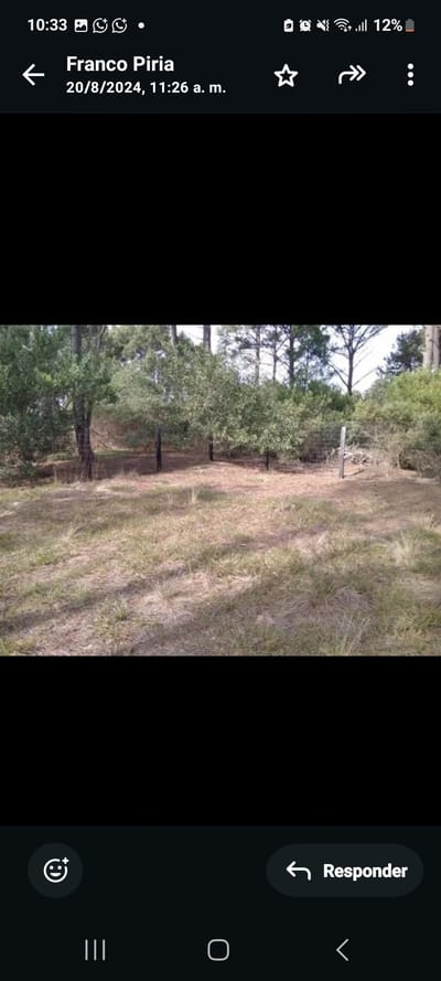 Venta de terreno en Punta Ballena