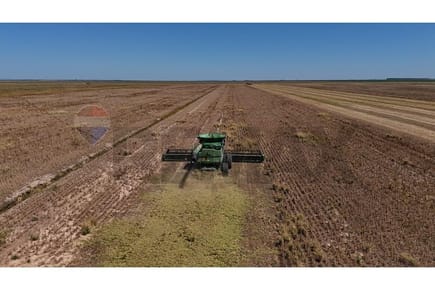 TERRENO DE 46.070.000 M2 DE PRODUCCIÓN AGRÍCOLA Y GANADERA EN VENTA