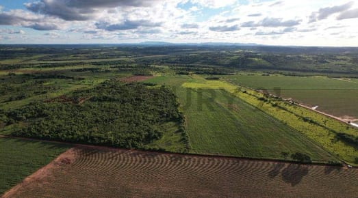 Venta de Excepcional Propiedad Agrícola y Ecológica en Caaguazú: 12 Hectáreas con G 650.000.000 de Potencial. Ubicada en Barrio Paraje Guasu, esta extensa propiedad de 766,0 Hectáreas ofrece 5 hectáreas mecanizadas para producción agrícola inmediata y 7 h