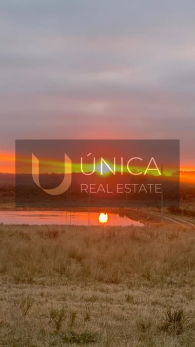 Fracción de campo en Rincón de José Ignacio