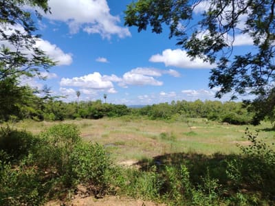 Vendo terreno en esquina de 7685 m2 en San Bernardino Pirayui