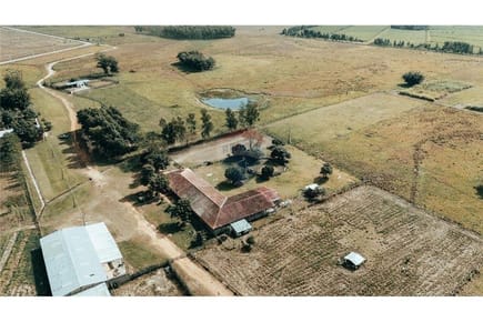 CAMPO EN VENTA - 391,42 HECTÁREAS EN YBYTYMÍ, PARAGUARÍ