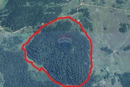VENDO 74 HECTÁREAS EN CAAPUCÚ (CHARARÁ)