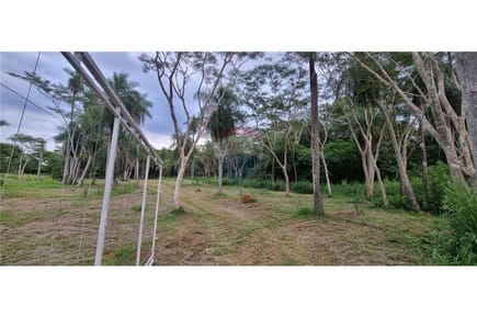 VENDO 1 HECTÁREA EN YAGUARÓN 